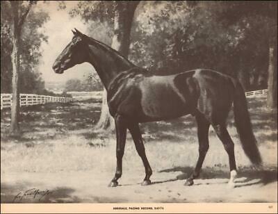 ABBEDALE-HORSE-PACING-HARNESS-RACING-RECORD-George-Ford