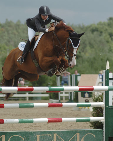 Ainsley Vince Showjumper