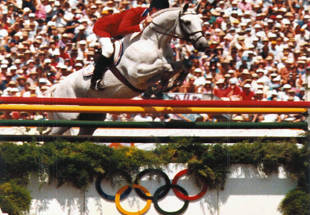 Trakehners Studs And Stallions