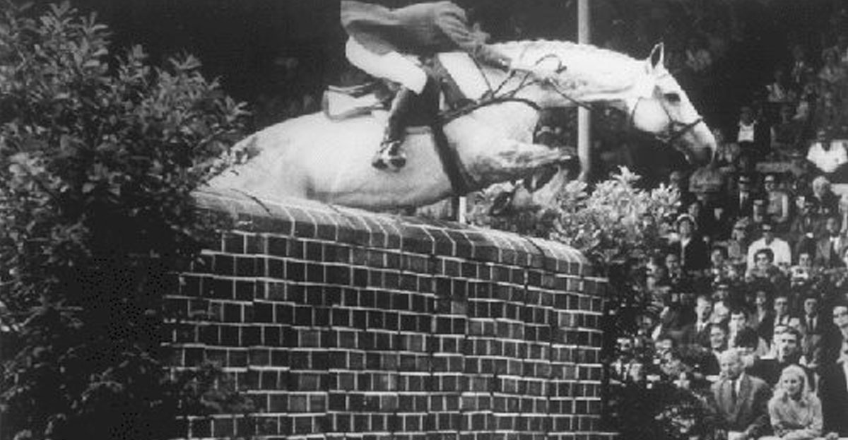 Aberali - Thoroughbred Showjumper competed by Kathy Kusner