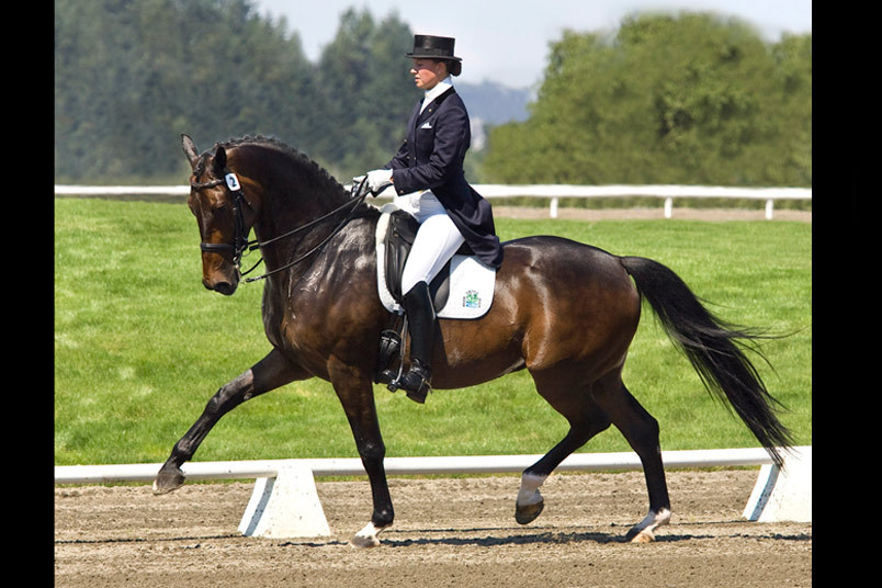 Dressage Rider - Adrienne Lyle