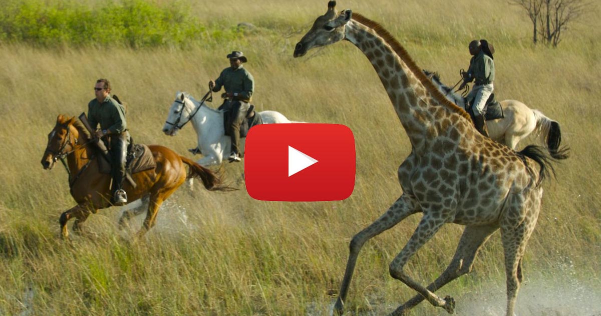 African safari on horse back