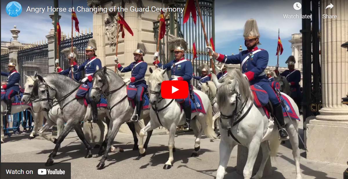 Excellent Rider Controls Agitated Horse At Changing of the Guard Ceremony
