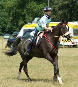 Al Nakyme - Endurance Horses