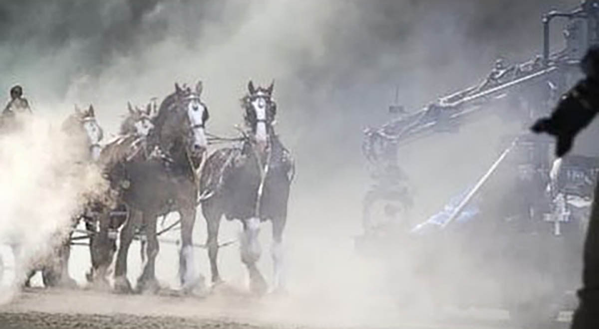 Amazing Behind The Scene Footage With The Clydesdale`s
