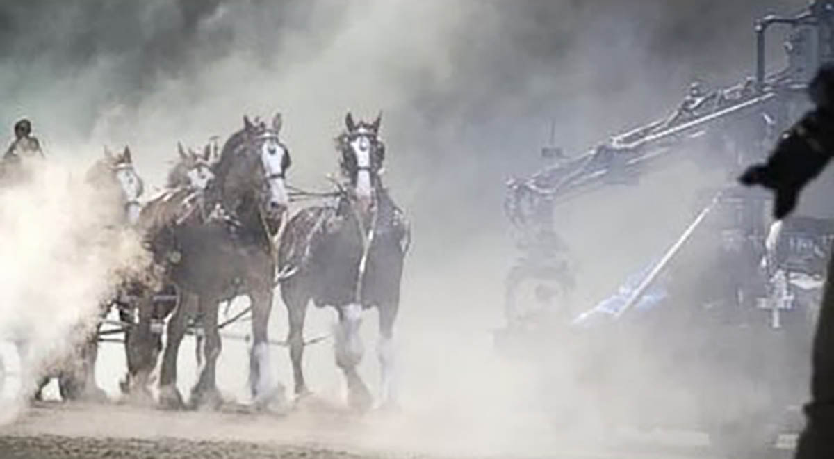 Amazing Behind The Scene Footage With The Clydesdale`S