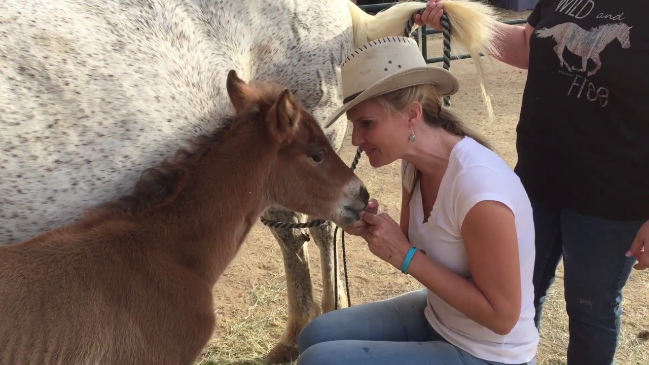 Amazing Recovery Of An Abandoned Baby Foal