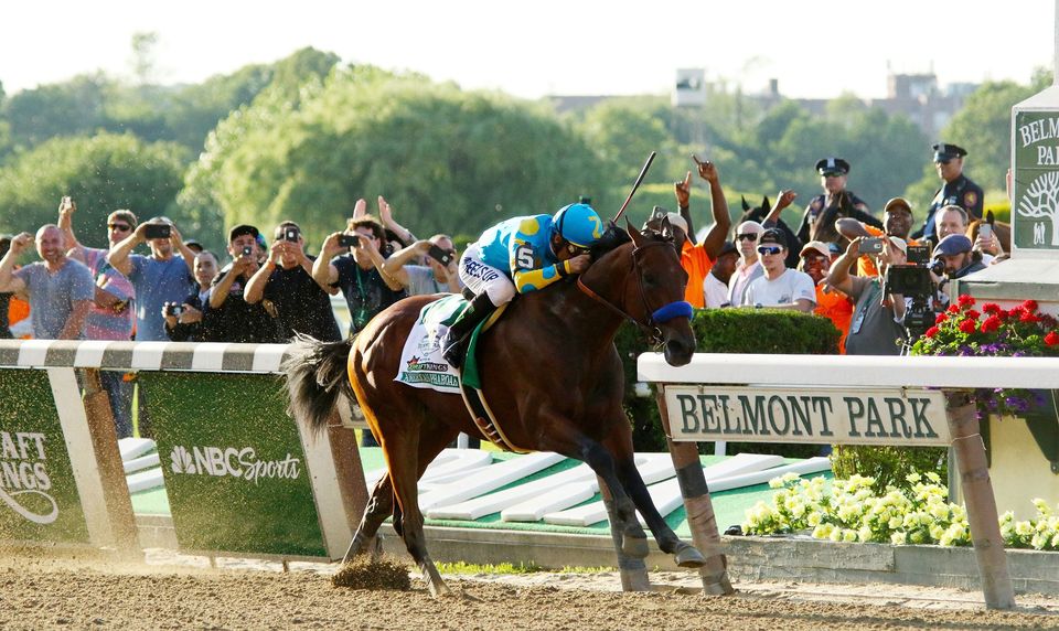 American Pharoah - Race Horse