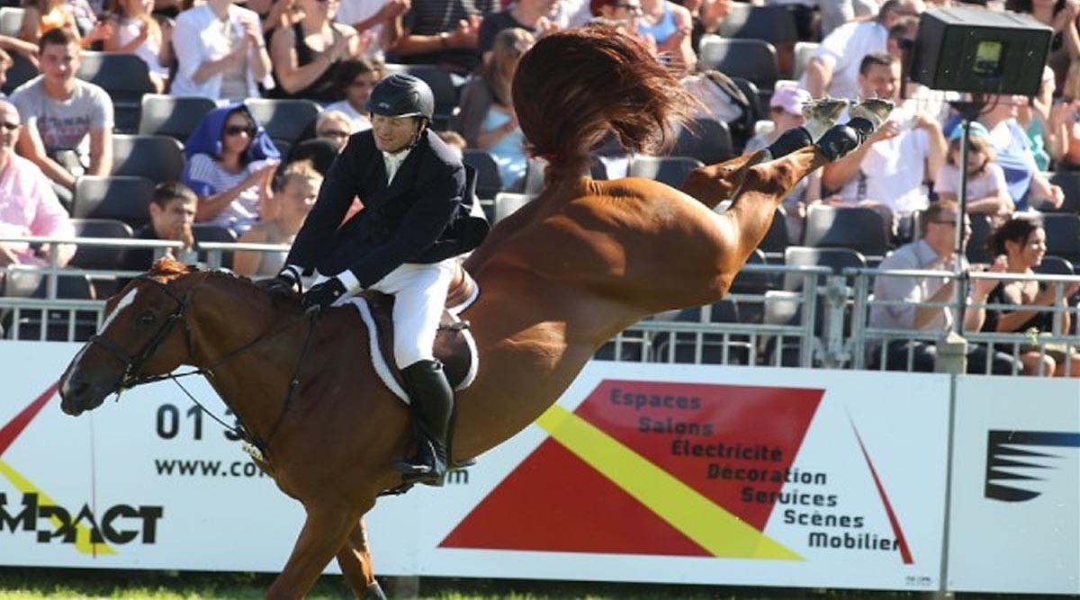 American Warmblood - Rothchild du Bosquetiau