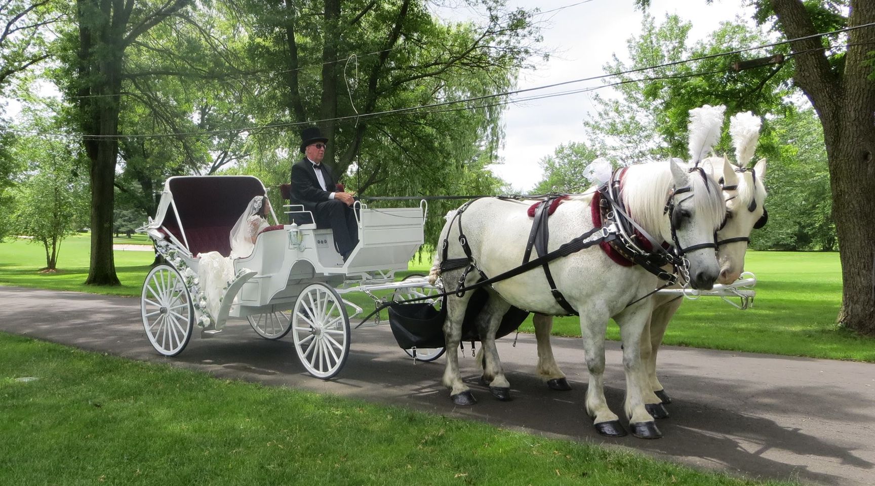 Our American Dream Farm and Horsedrawn Carriages, New Jersey