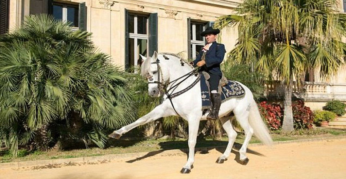 Royal Andalusian School of Equestrian Art 