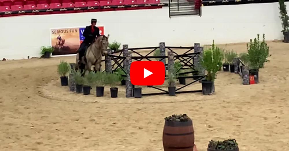 Andalusian World Cup Working Equitation - Cossaco and Jill Barron 