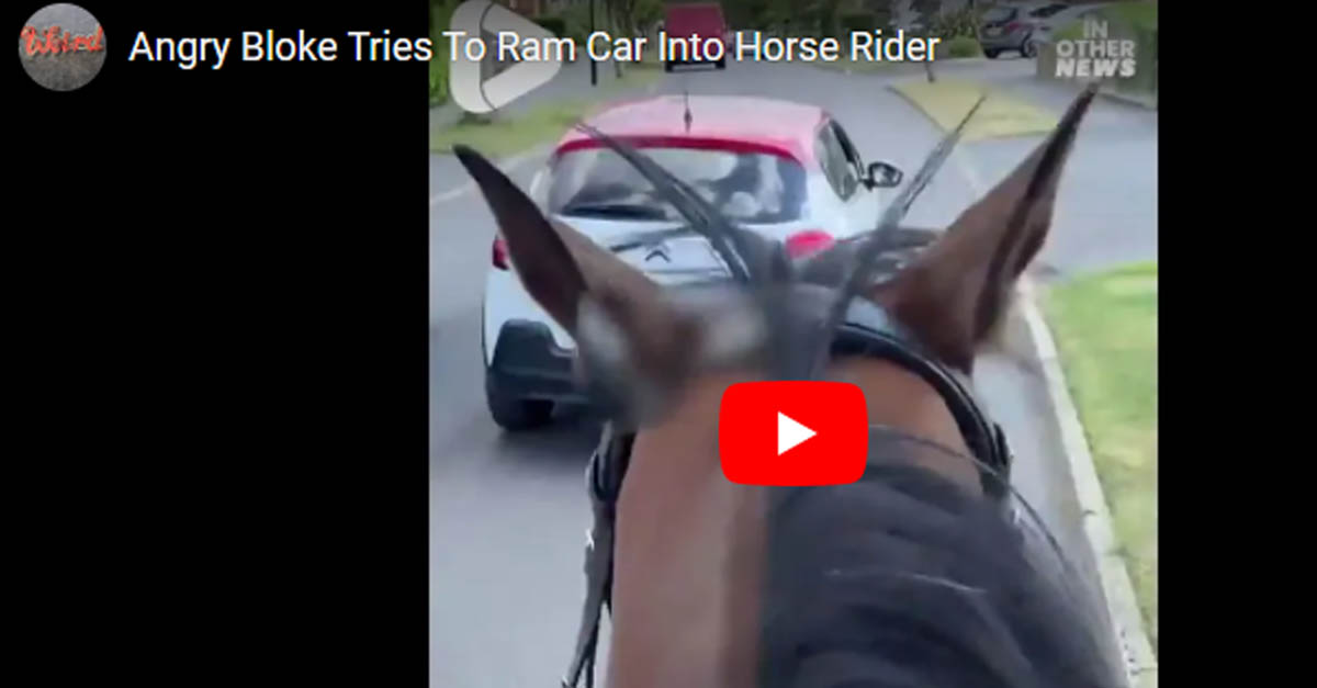 Angry Man Tries To Ram Horse Rider With Car