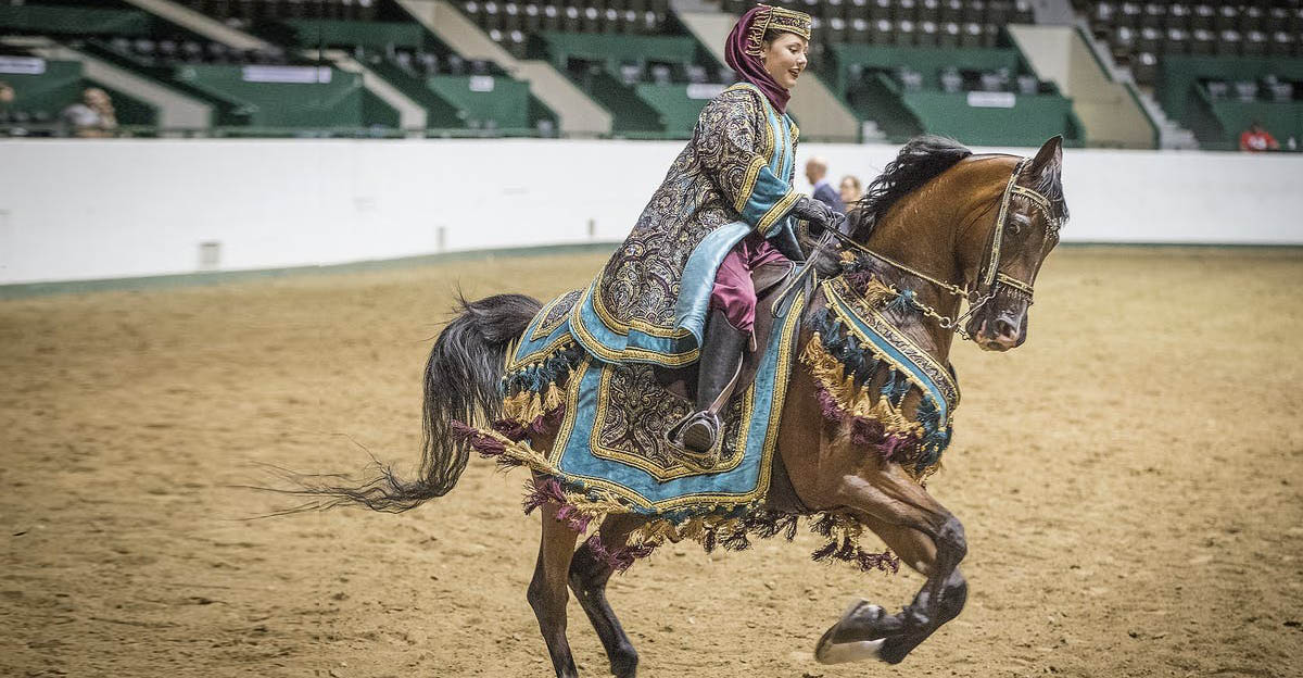 Arabian Native Costume Championship