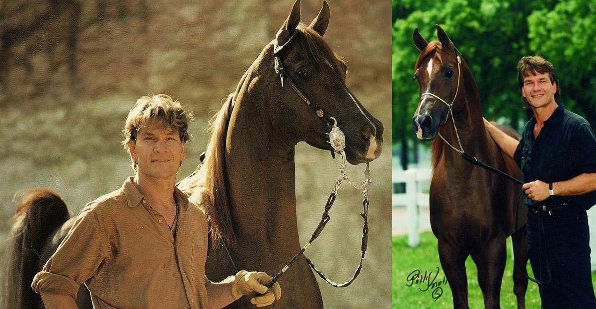 Patrick Swayze and his stunning Arabian horse Tammen