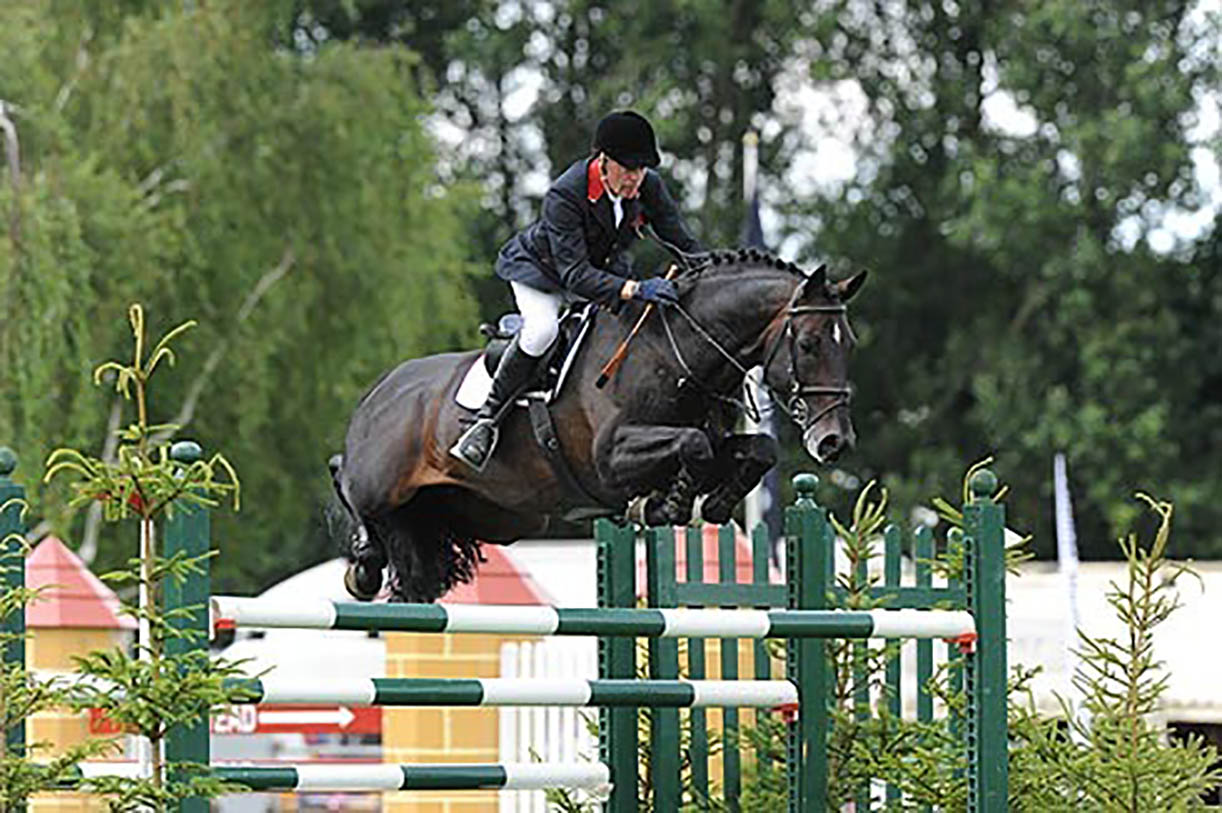 Argento - Showjumping Stallion