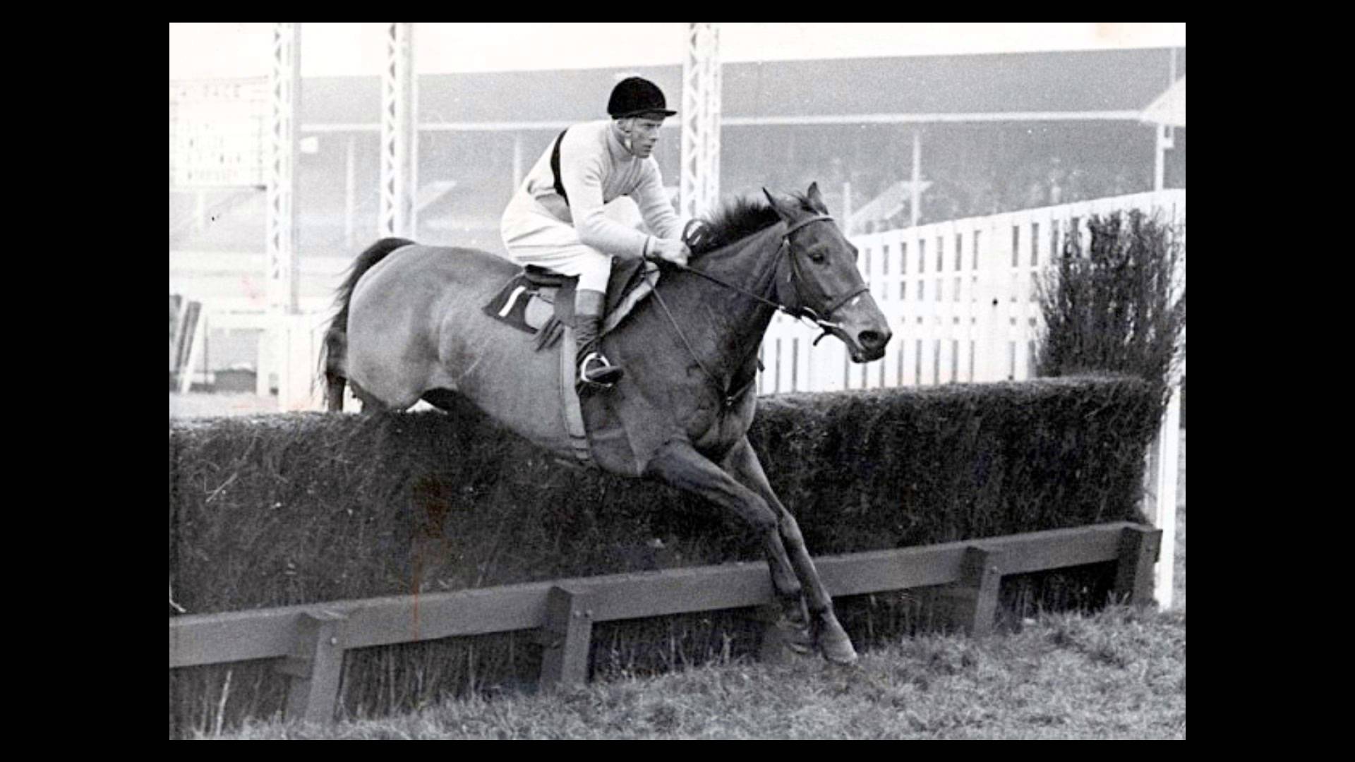 Arkle