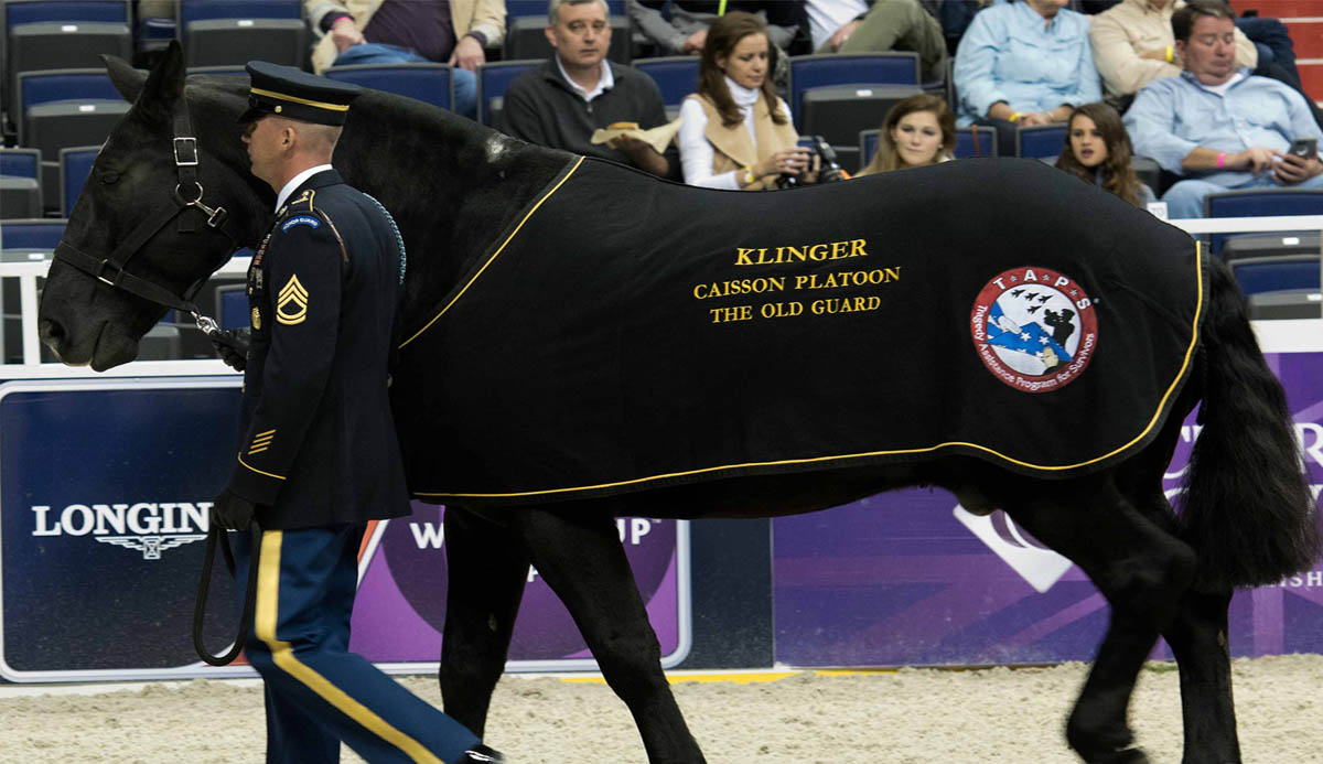 A Loving Home For Retiring Military Veteran Horses After They Have Served