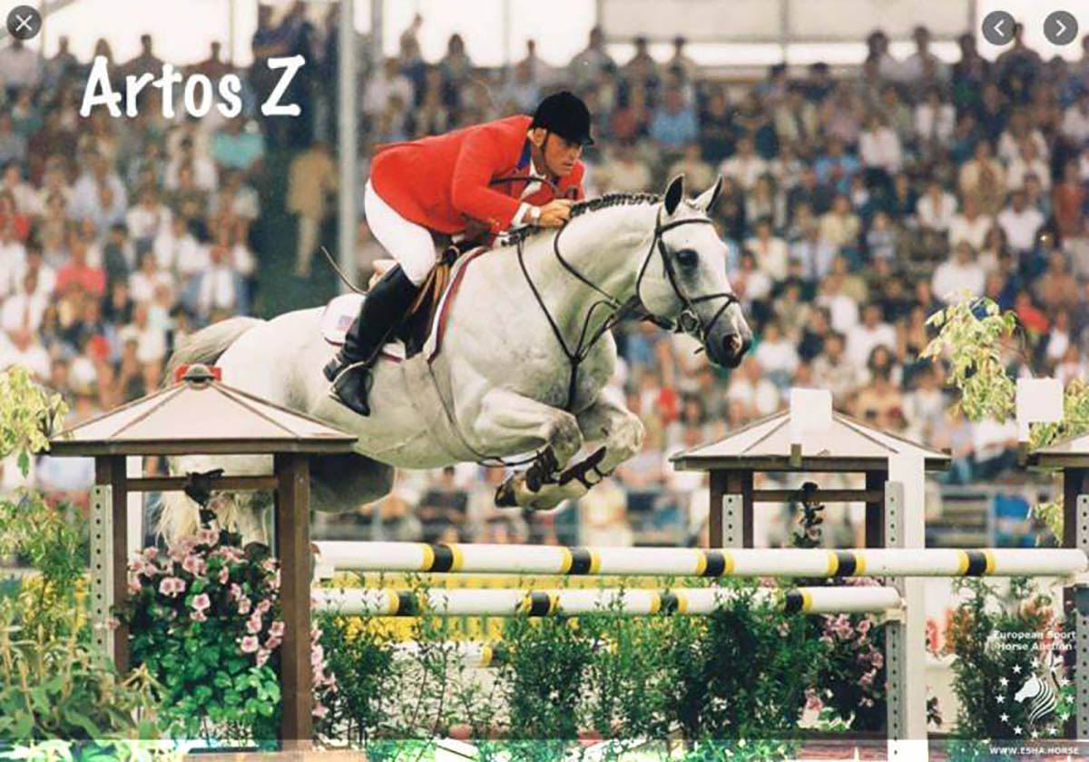 Artos Z - Showjumping Stallion