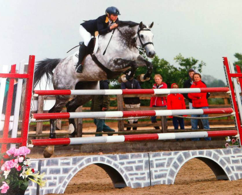 Showjumping Horses