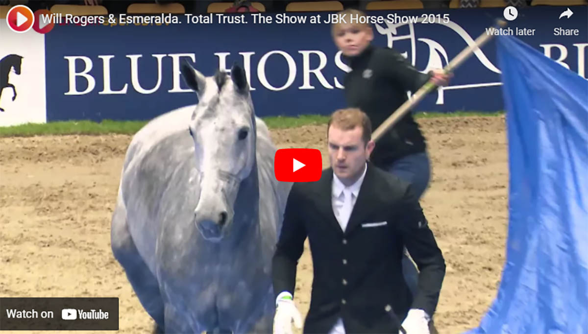 Astonishing Dressage Performance