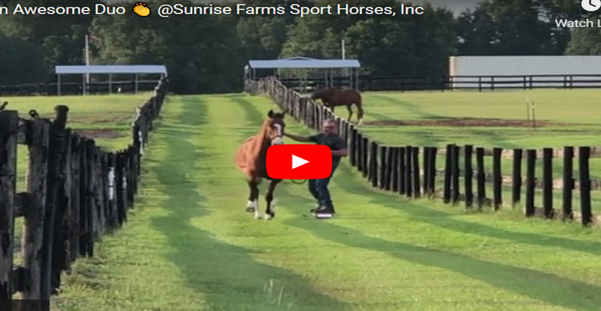What An Awesome Duo @Sunrise Farms Sport Horses, Inc