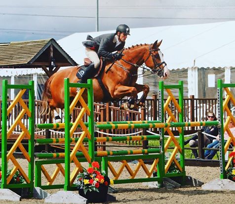 Grade A Showjumper For Sale - BSJA Horses For Sale