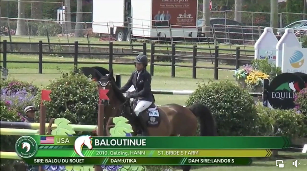 Baloutinue (Balou du Rouet x Landor S x Figaro)