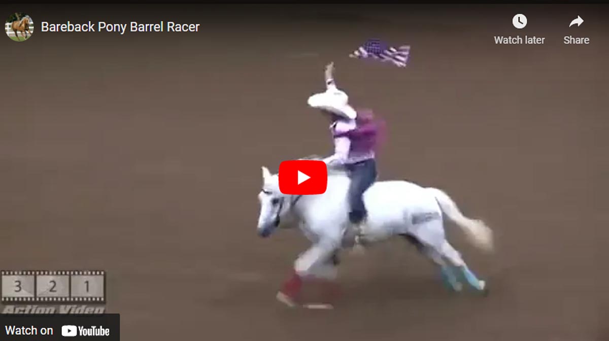 Bareback Pony Barrel Racer