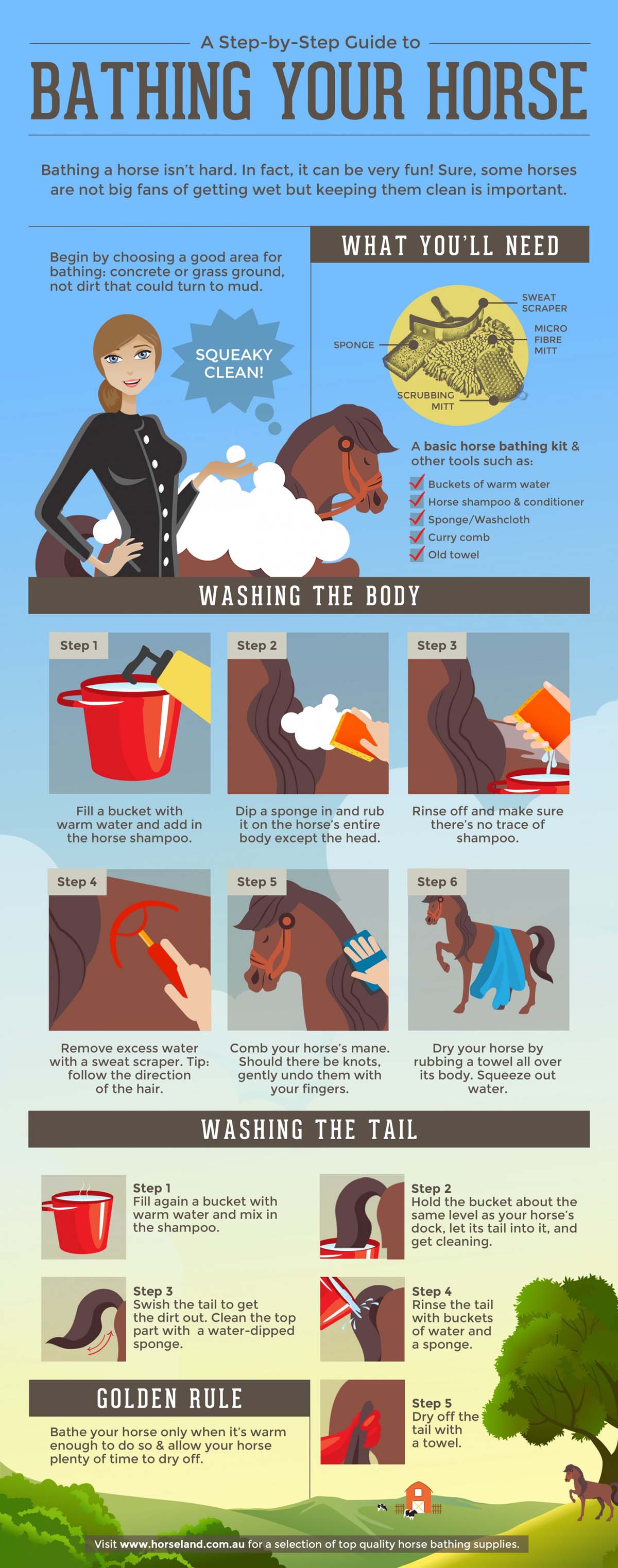 Washing a horse