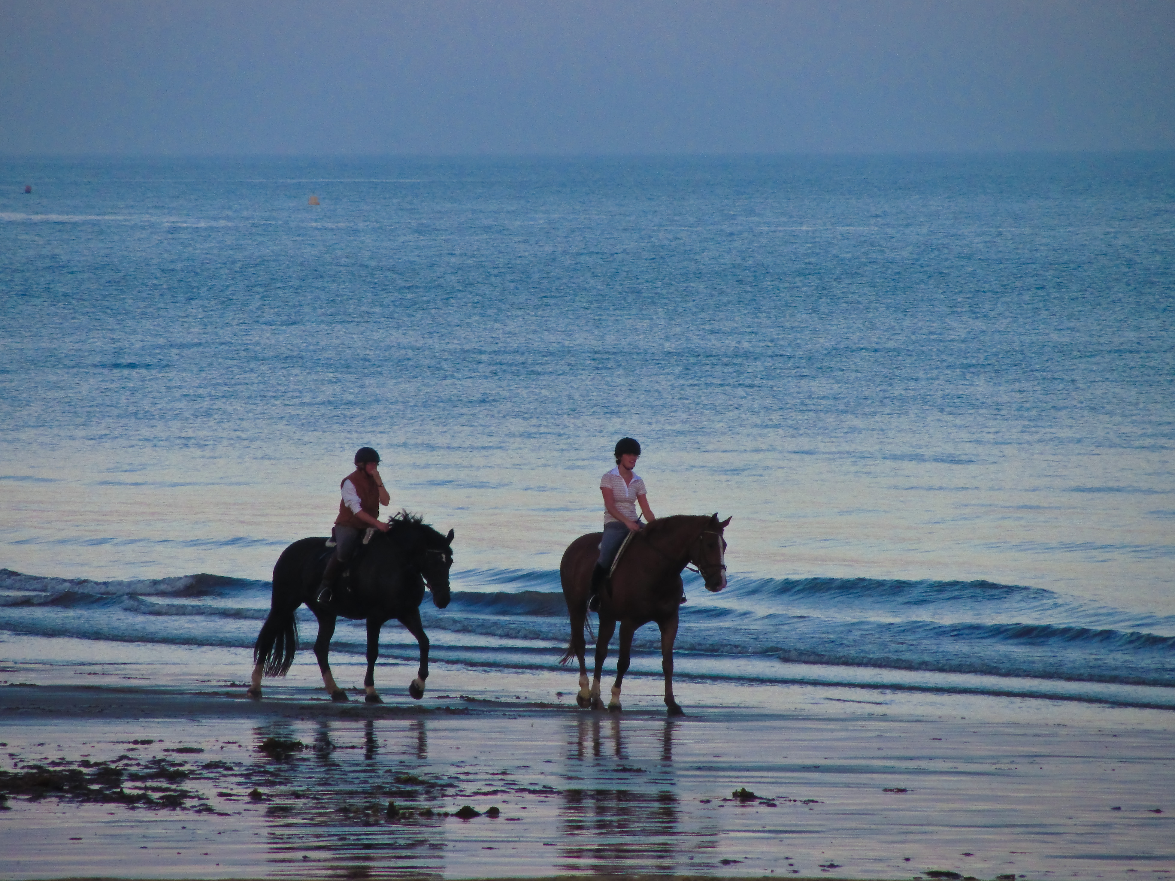 A romantic ride down the beach