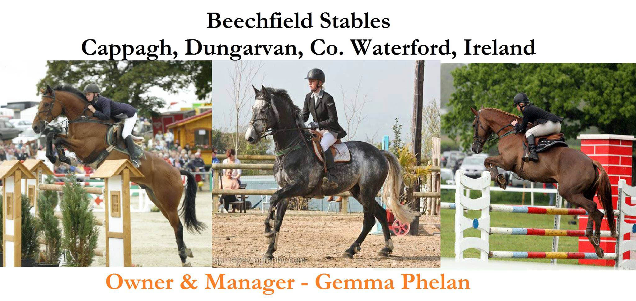 Beechfield Stables Sport Horses