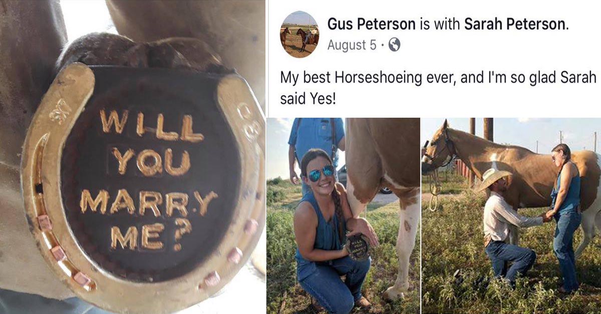 Best Marriage Proposal Ever For Horse Lovers