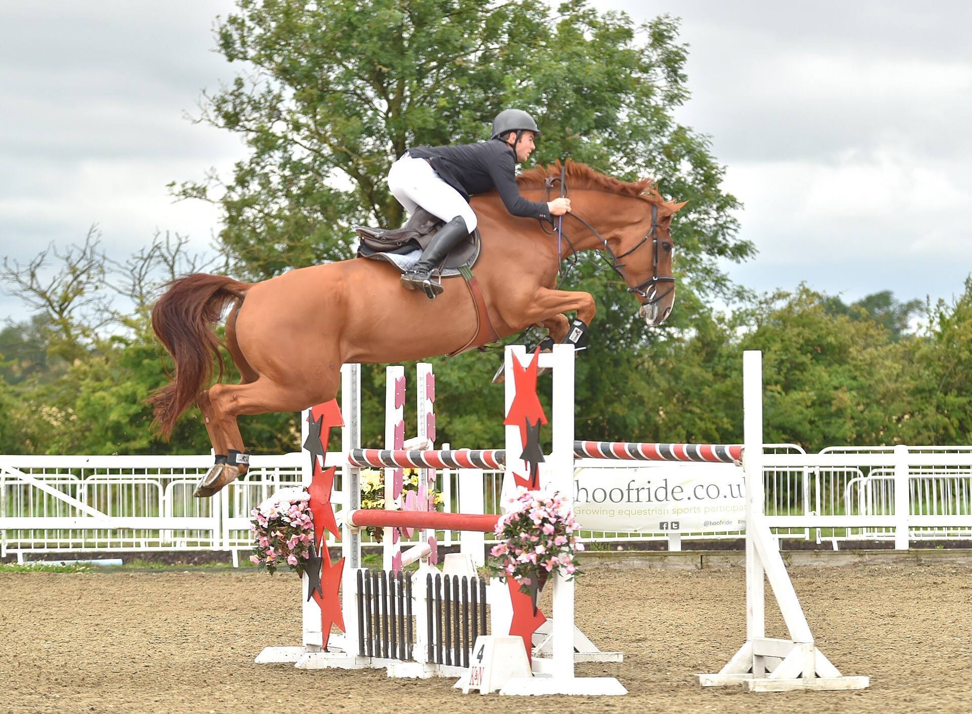 Billy Z (Burggraaf x Lux Z) - Talent Seekers HOYS, Donald Whitaker