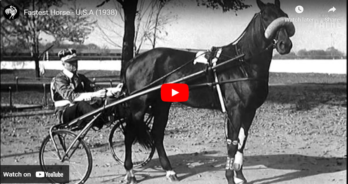 Billy Direct - Fastest Horse - U.S.A (1938)
