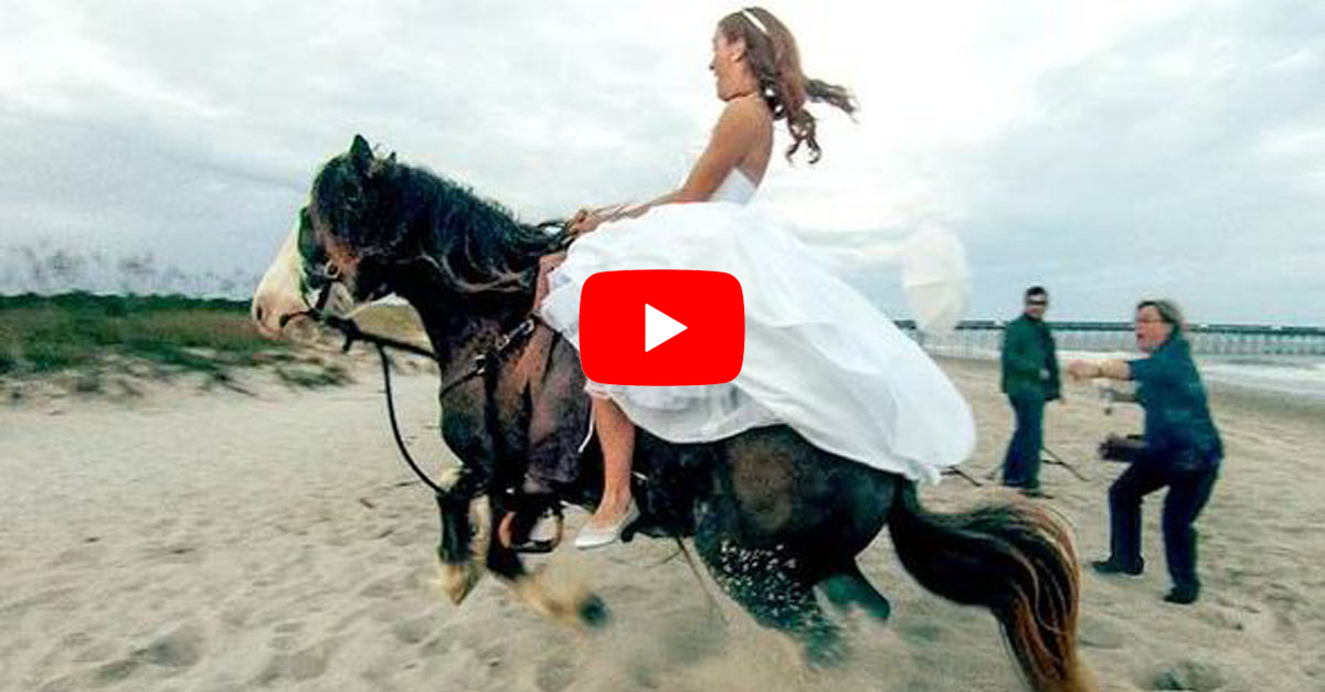 Bride Thrown from Horse During Photoshoot