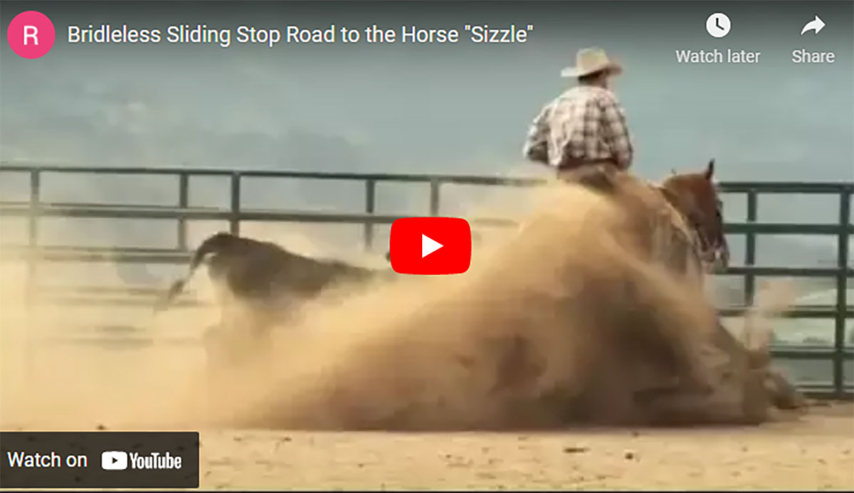 Bridleless Sliding Stop Road to the Horse