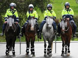 London Metropolitan Mounted Branch