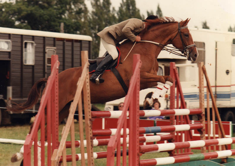 Brood Mare - Fragrent Daisy & Carl Freeman