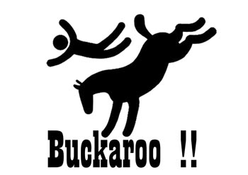 Buckaroo