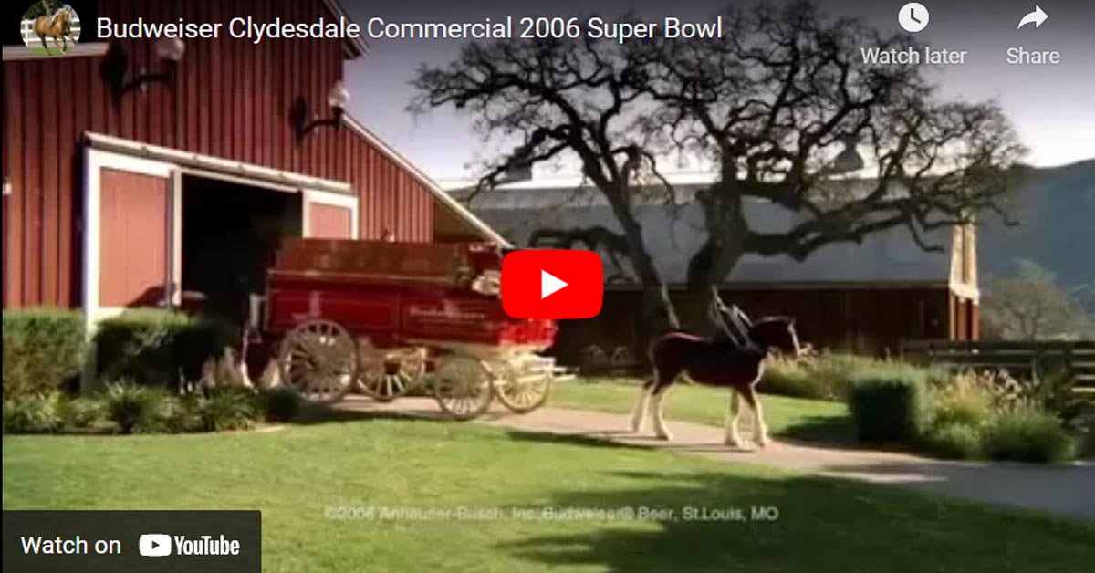 Budweiser Clydesdale Commercial 2006 Super Bowl