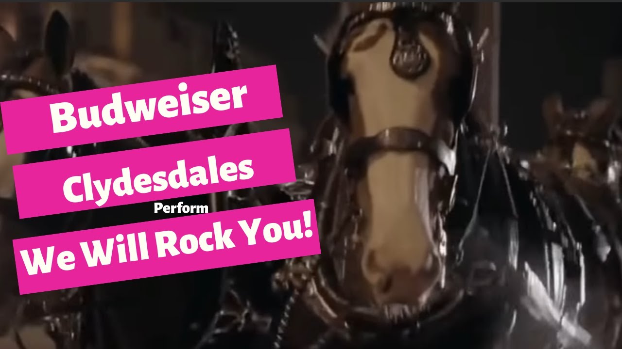 Budweiser Clydesdales Perform - We Will Rock You