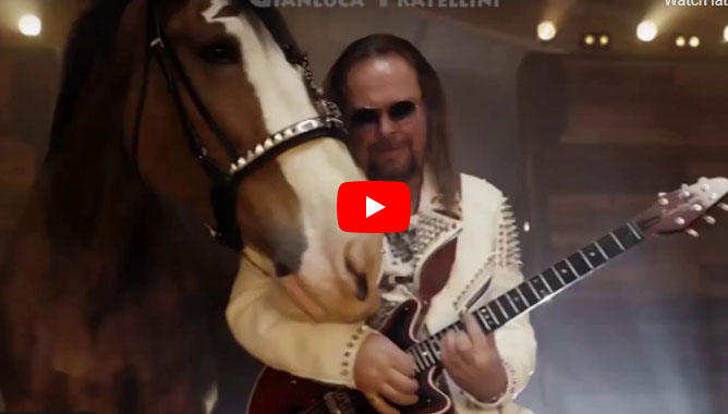 Heavy Horses - Clydesdales