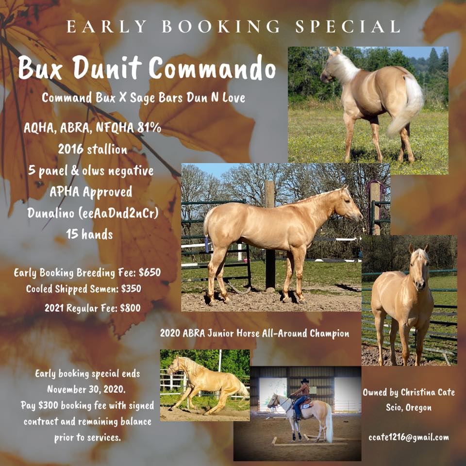 Dunalino - Stable Express