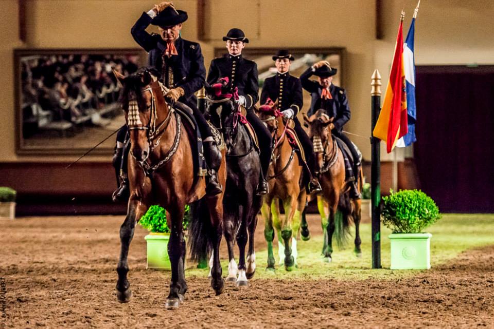 Cadre Noir De Saumur - Dressage Display