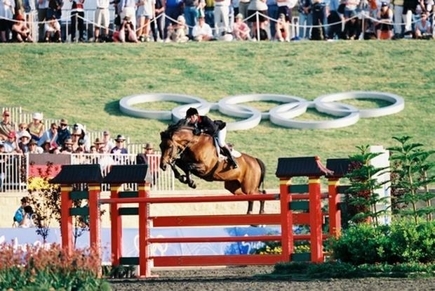 Calvaro - Showjumping Stallion