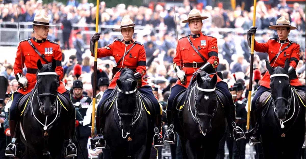 The 4 Horses Gifted To Queen Elizabeth By the Royal Canadian Mounted Police Play Key Role In Her Funeral Procession
