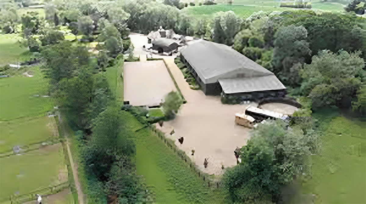 A Glimpse into Equine Excellence - Stable Tour of British Olympic Dressage Rider Carl Hester