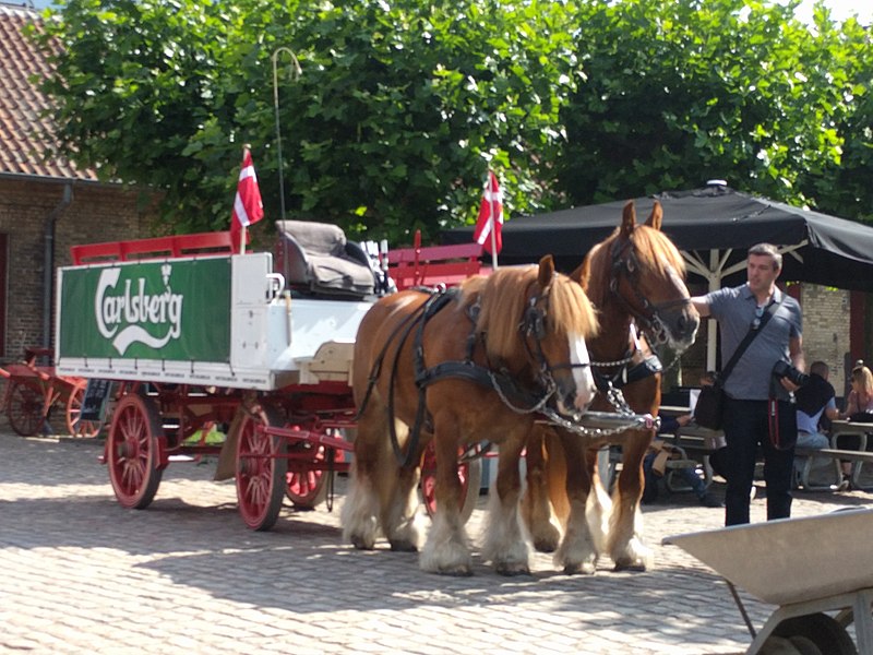 Carlsberg Horses