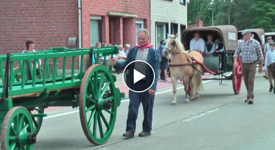 Cart Horse